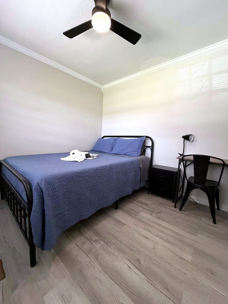 Room 05 - Professional Member